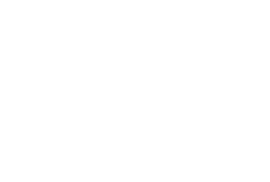 monica steinmuller white logo